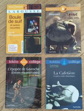 4 French Book Bundle